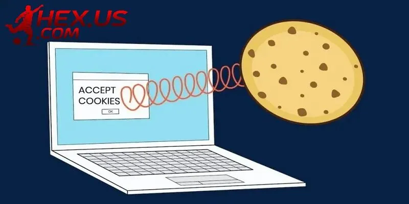 Giới thiệu chi tiết về chính sách cookie theo từng phân loại