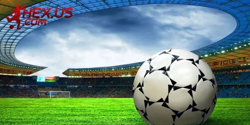 Giới thiệu chúng tôi còn cung cấp Livescore rất chính xác